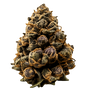 Granddaddy Purple (GDP)
